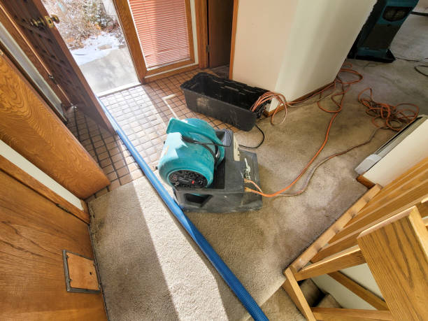 Best Ceiling water damage repair  in Phoenix, AZ