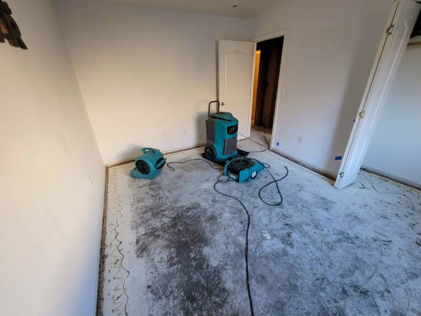 Best Water damage cleanup near me  in Phoenix, AZ