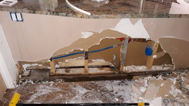 Best Professional water damage repair  in Phoenix, AZ