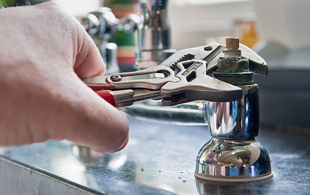 Best Professional water damage repair  in Phoenix, AZ
