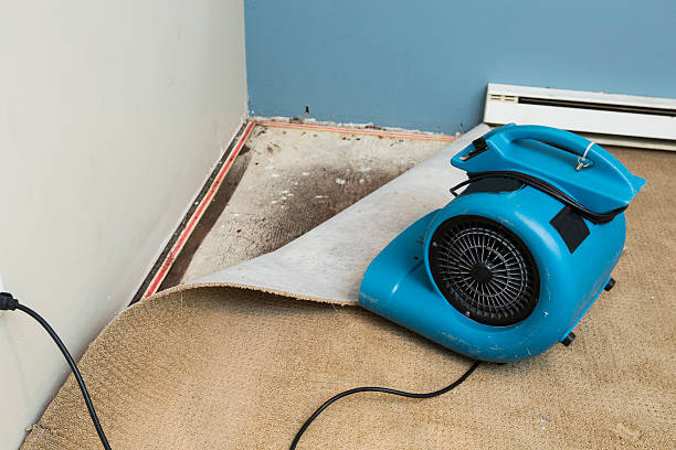 Best 24/7 water damage repair  in Phoenix, AZ